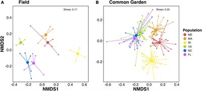 Determining the Composition of Resident and Transient Members of the Oyster Microbiome